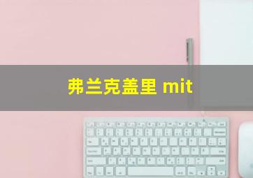 弗兰克盖里 mit